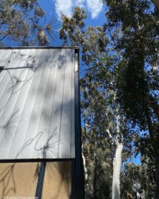 It’s hard not to make connections between the Eames House structures and the surrounding landscape. In addition to the shadows the trees cast on the facade, the verticality of the tree trunks and the steel used to construct the buildings and siding on the studio project up into the sky. Photograph © Eames Foundation #eames #eameshouse #charleseames #rayeames #charlesandrayeames #casestudyhouse #modern #architecture #california #losangeles