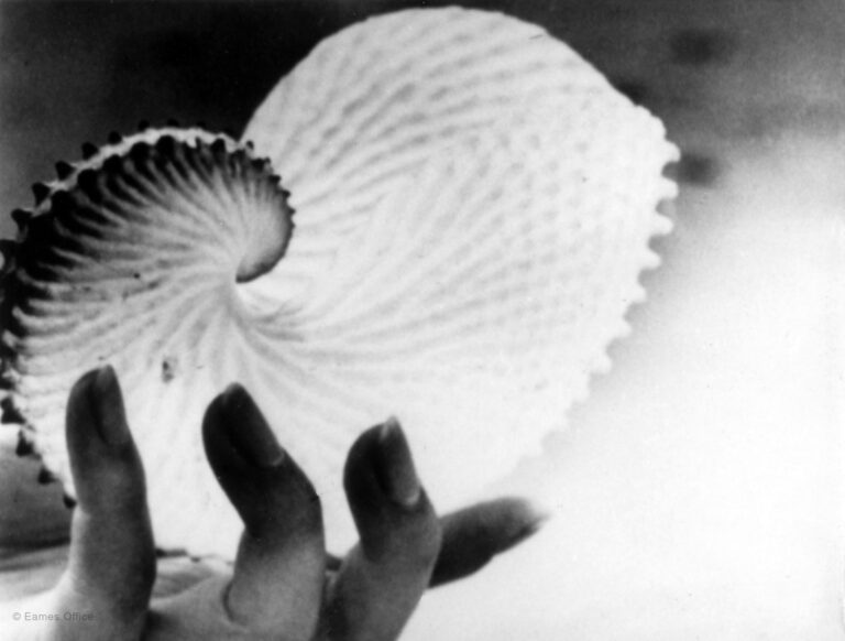 The Fabulous Fifties: Gift from the Sea