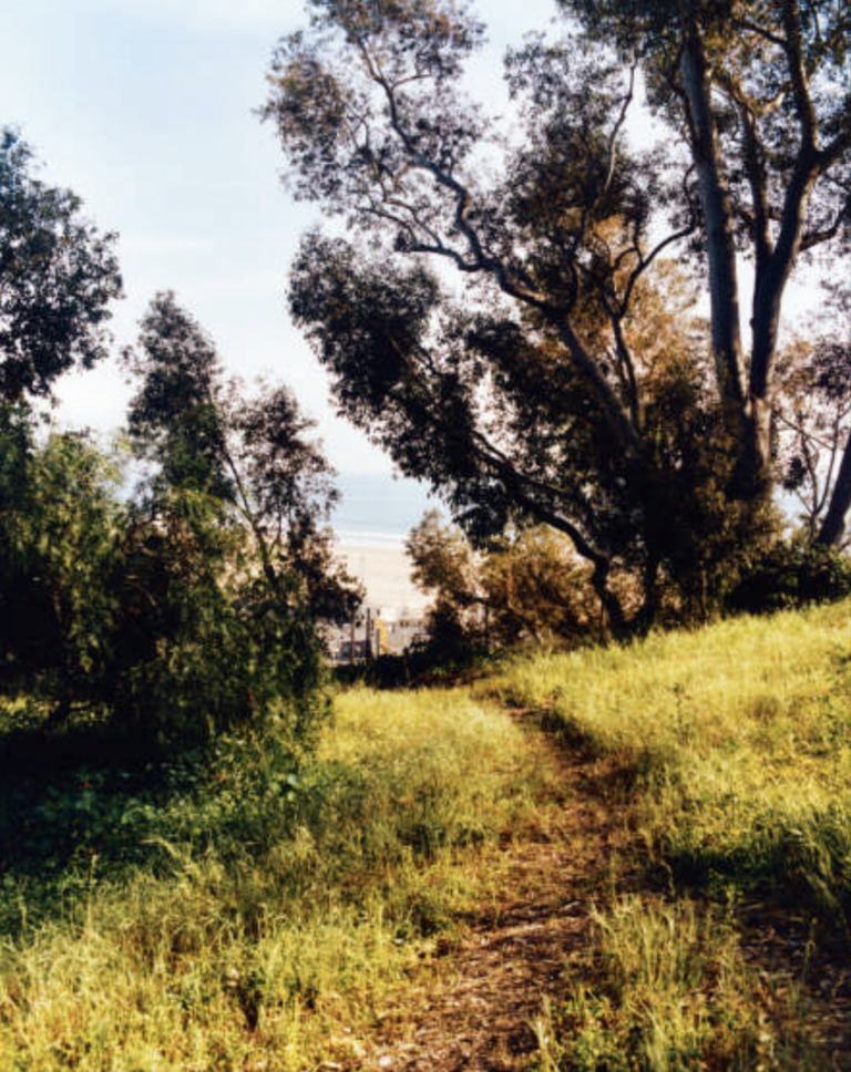 La Maison Eames, une Utopie sur le Pacifique